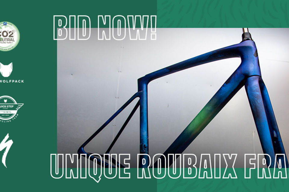 Quick-Step Alpha Vinyl auctions special S-Works Roubaix frame