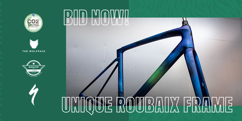 Quick-Step Alpha Vinyl auctions special S-Works Roubaix frame